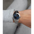 Cargar imagen en el visor de la galería, RELOJ ANÁLOGO PARA HOMBRE FESTINA F20736 F20736 - PLATEADO
